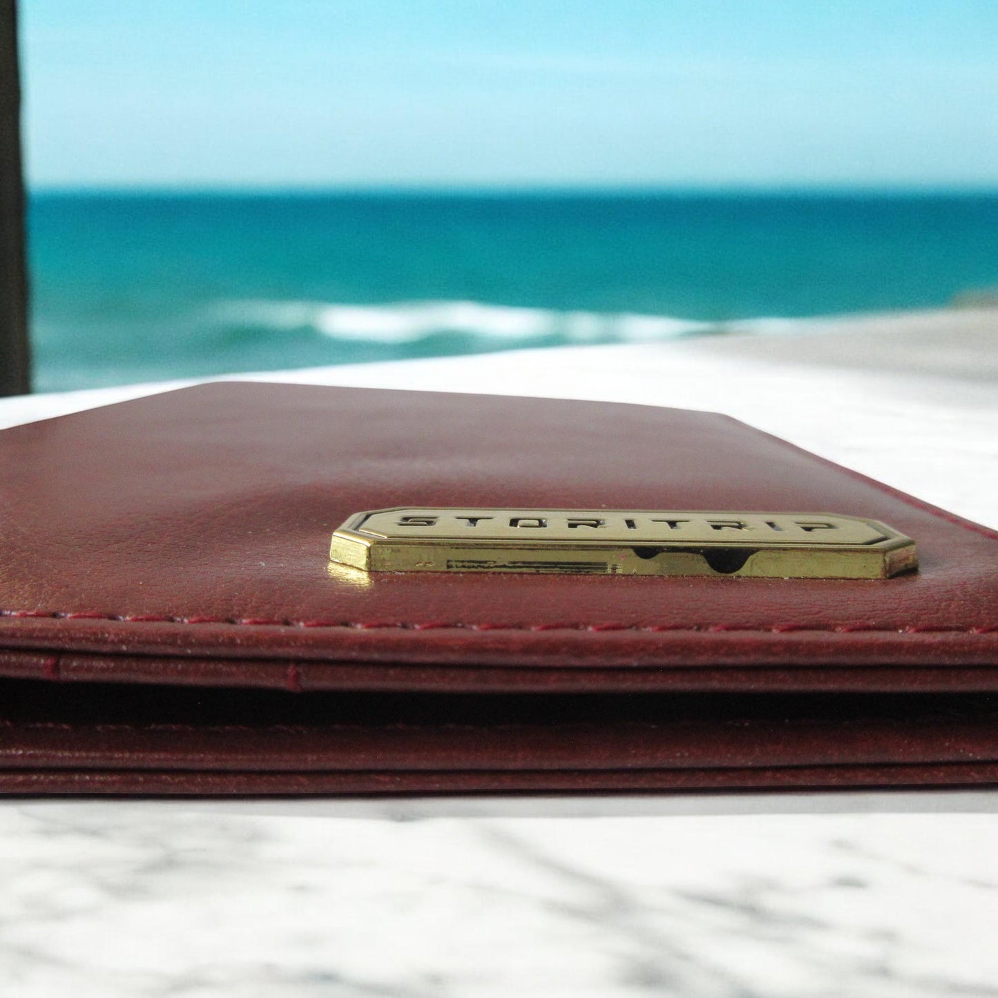 Passport Cover